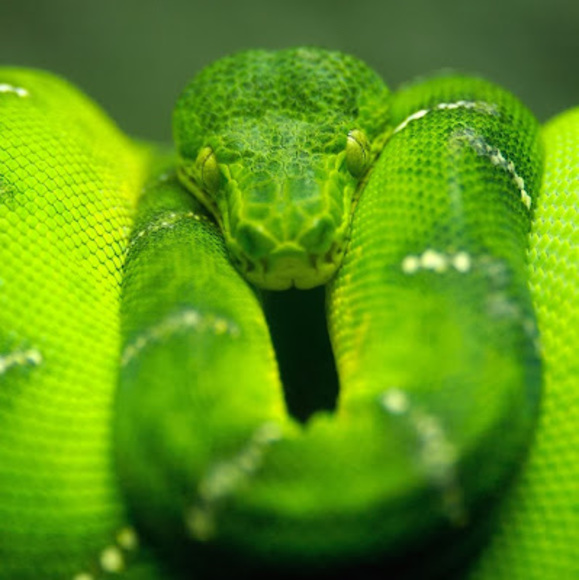 Meet your Posher, Shawn - Picture 1 of 1